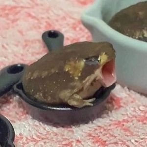 Meet your Posher, Mya